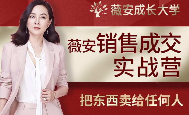 薇安28天销售高手训练营