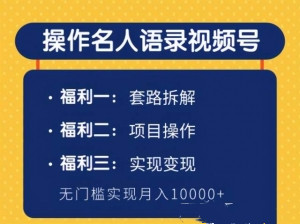 操作名人语录视频号，无门槛月入10000+