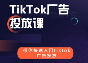跨境B哥出品的tiktok广告投放课