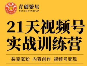 张萌21天视频号实战训练营视频