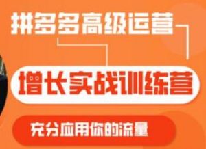 拼多多高级运营增长实战训练营