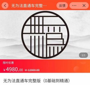 无为法直通车完整版（0基础到精通）