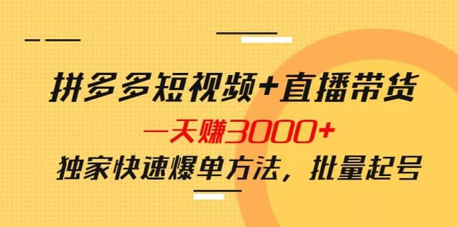 泓盛-娜姐·拼多多视频带货项目