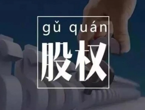 臧其超-股权设计与盈利体系 20节视频