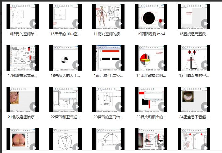辛圣明第20期南北政脉诊实战录像全集39课
