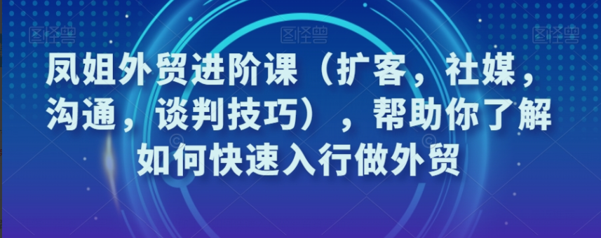 凤姐外贸进阶课（扩客，社媒，沟通，谈判技巧），帮助你了解如何快速入行做外贸