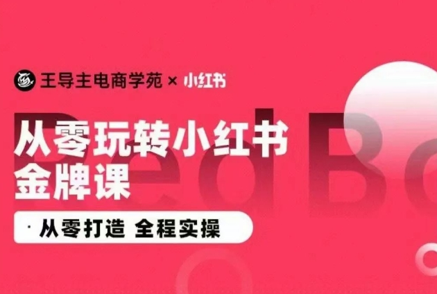 王导主·从零玩转小红书金牌课，从零打造 全程实操
