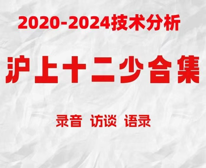 沪上十二少2020-2024技术分析小红圈资料合集