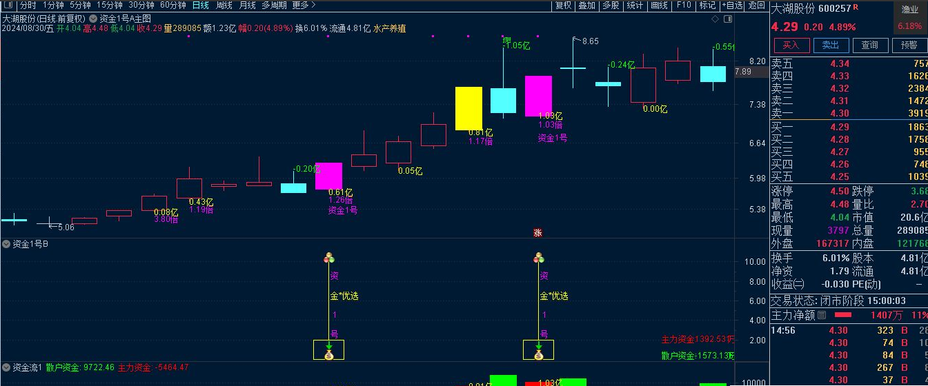 叶梵宸指标2024资金1号【每天盘中 主选①支】《无忧版》《K线追踪主散因果》