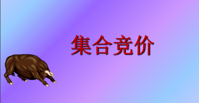 集合竞价文档合集