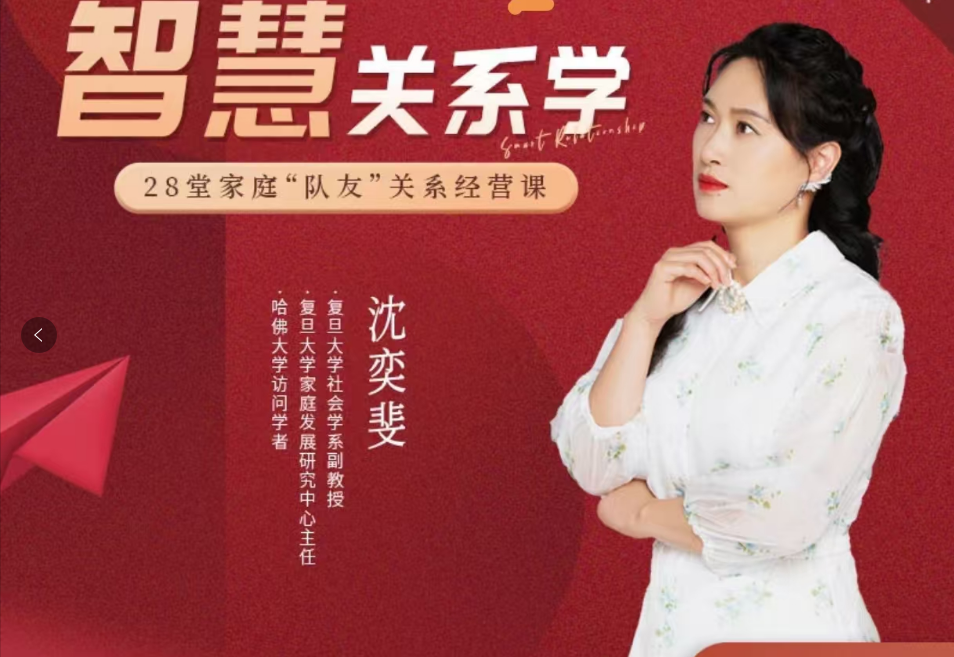 沈奕斐智慧关系视频课程30节全