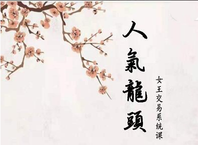 短线女王人气女王人气龙头基础视频课程