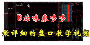 B站咪来哆哆《全网最易上手，盘口实操教学》视频课程