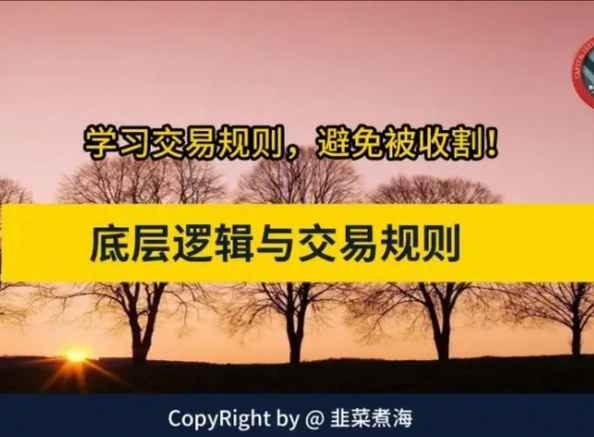韭菜煮海《交易底层逻辑与交易规则》，股市进阶必修课