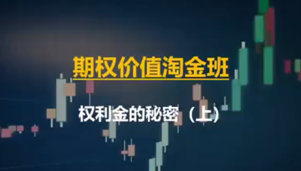期权价值淘金班