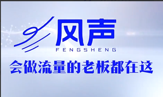 董十一的风声短视频AI获客年度会员