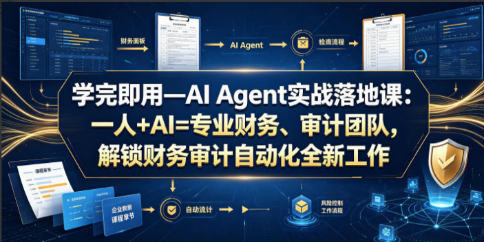 学完即用—AI Agent实战落地课：一人+AI=专业财务、审计团队，解锁财务审计自动化全新工作模式