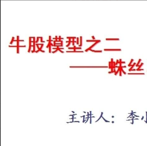 牛股模型之二蛛丝马迹－－李小龙